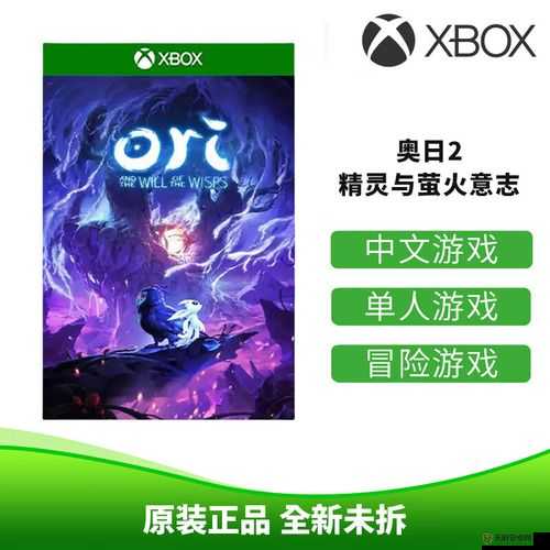 XBOXONE 播放 DVD 碟片之功能介绍与使用指南及相关注意事项